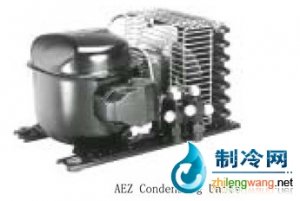 法國泰康風冷式冷凝機組