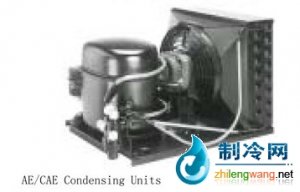 法國泰康風冷式冷凝機組