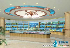 海鮮池魚缸ldzl49