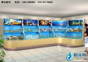 海鮮池魚缸ldzl64