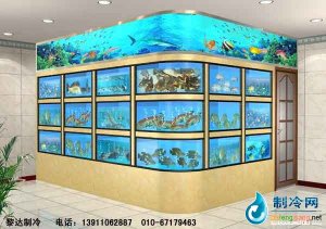 海鮮池魚缸ldzl69