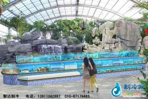海鮮池魚缸ldzl70