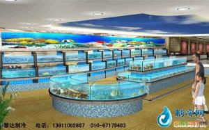 海鮮池魚缸ldzl74
