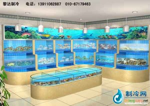 海鮮池魚缸ldzl81