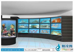 海鮮池魚缸ldzl87
