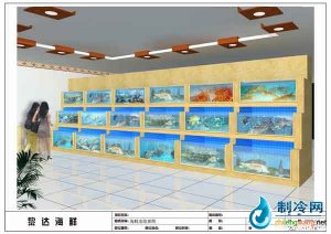 海鮮池魚缸ldzl92