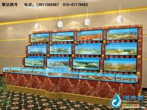 海鮮池魚缸ldzl85