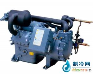 德國谷輪D9T/D6T雙級壓縮機(jī) 低溫應(yīng)用