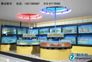 海鮮池魚缸ldzl114