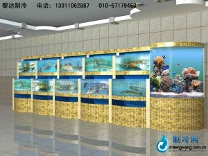 海鮮池魚缸ldzl115