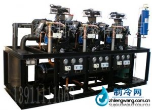 谷輪并聯制冷機組經銷商
