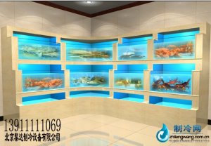 2014黎達制冷海鮮池工程
