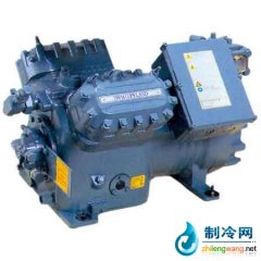 德國谷輪蝶閥式壓縮機(jī) 低溫應(yīng)用