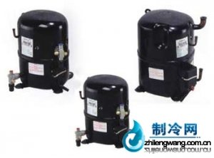 美國泰康壓縮機RGA5480E