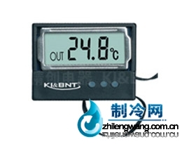 DS-2數(shù)字溫度計