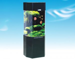 森森壓克力觀賞水族箱JV-500