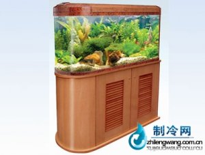 佳寶開放生態(tài)水族箱魚缸R(shí)9108
