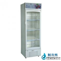 愛雪立式單門陳列柜