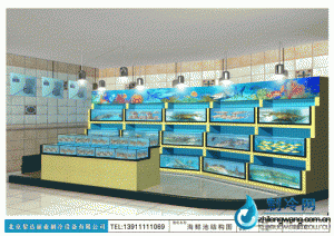  海鮮池魚缸ldzl132 