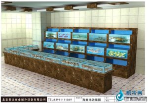  海鮮池魚(yú)缸ldzl62 