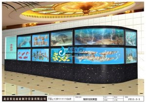  海鮮池魚(yú)缸ldzl93 