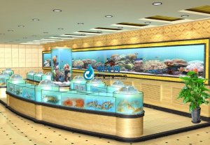  海鮮池魚(yú)缸ldzl196 