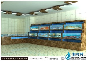  精美海鮮魚(yú)缸ldzl99 