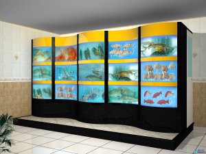  寶林水產海鮮池工程 