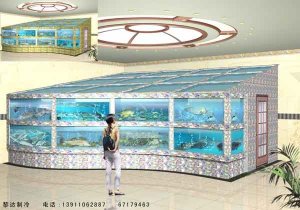 海鮮魚(yú)缸 ldzl003