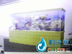 大型觀賞缸 gsg006