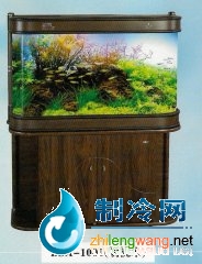 家用觀賞缸-可麗愛水族