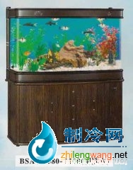 家用觀賞缸-可麗愛水族